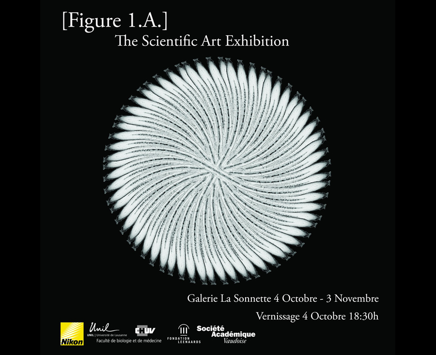 Expo_SCience