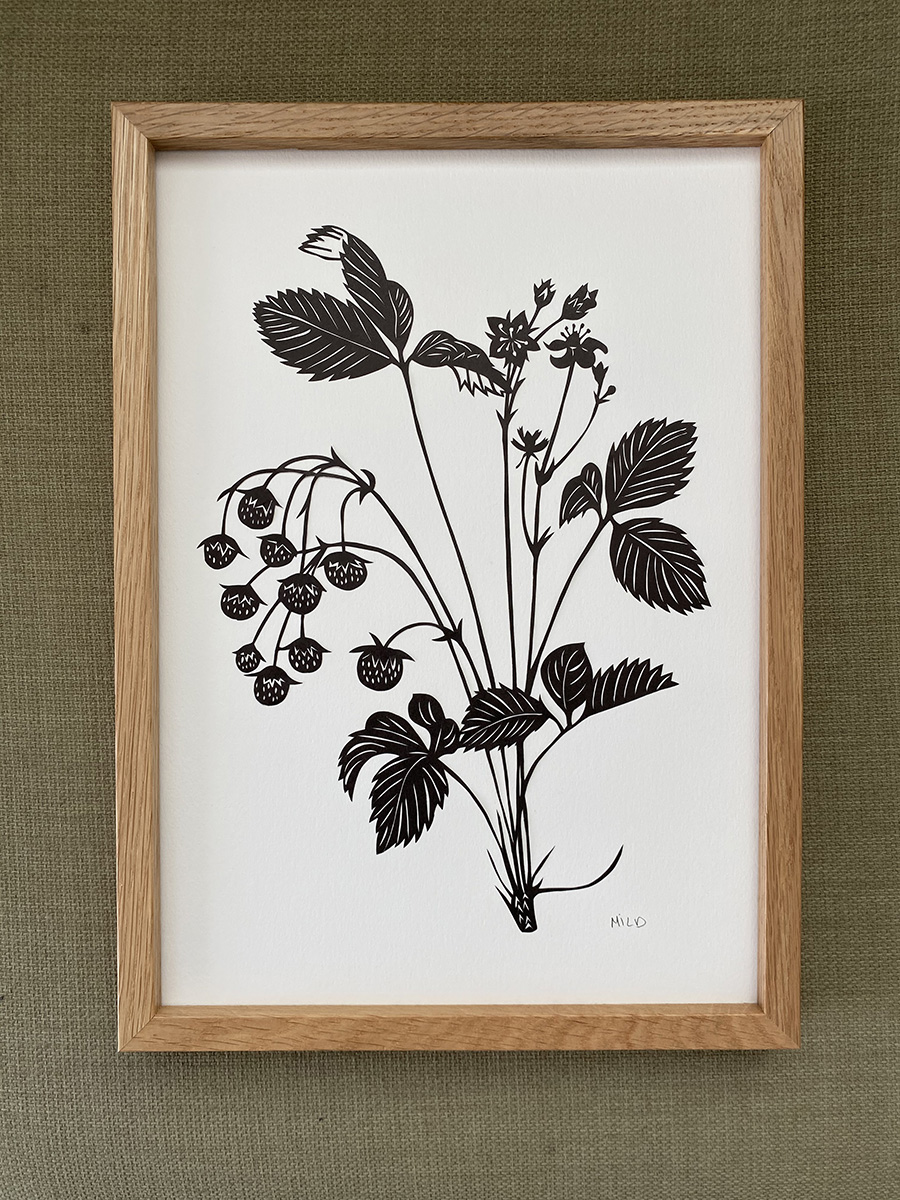 herbier_mild3